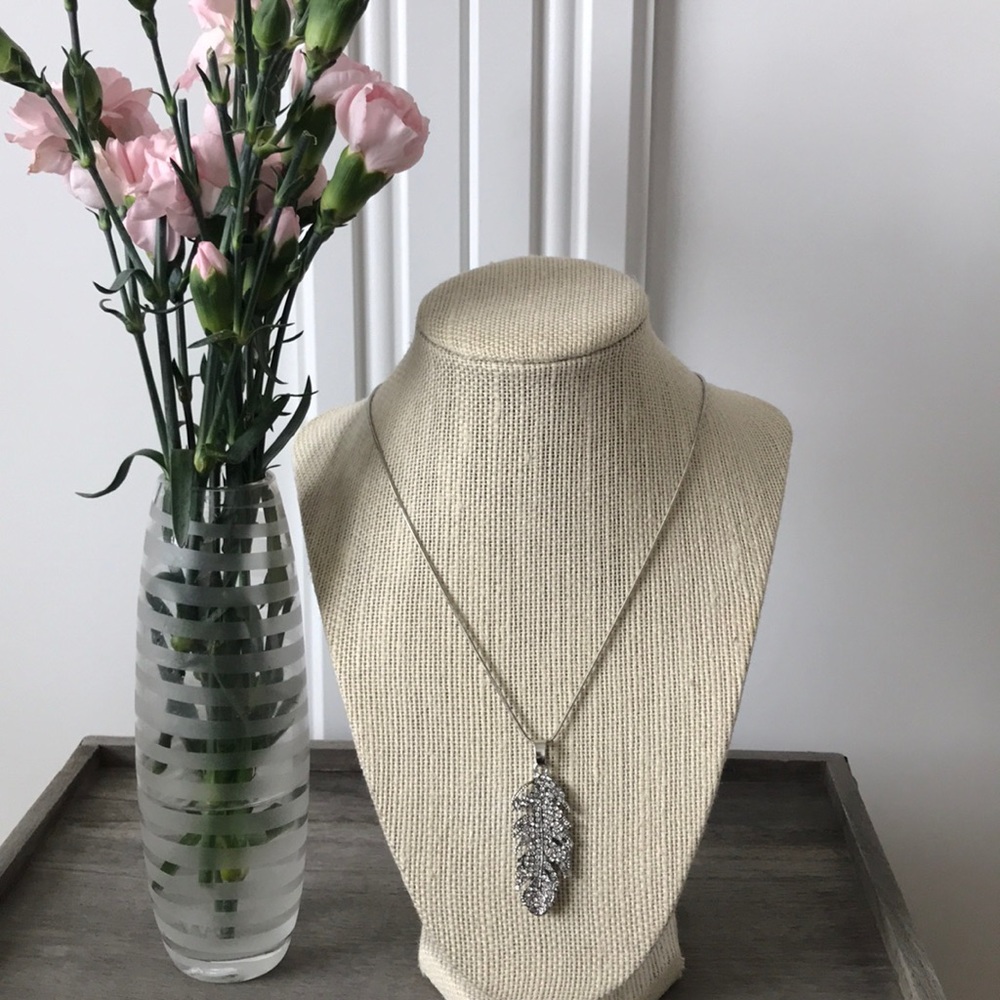 Beautiful feather necklace!